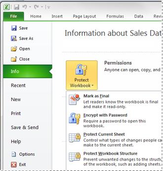 Microsoft Excel 2010 file tab