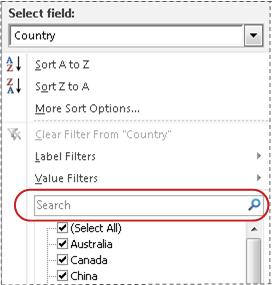 Microsoft Excel 2010 filter window