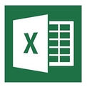 Microsoft Excel 2013 logo