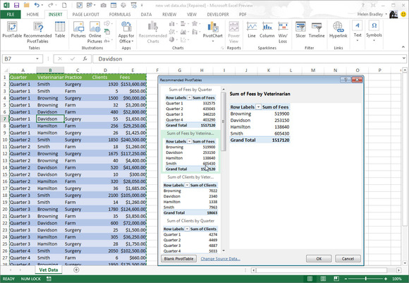 Microsoft Excel 2013 pivot table